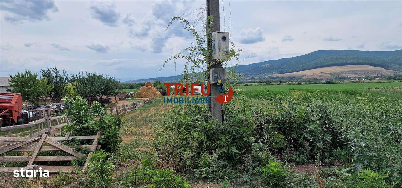 Teren de vanzare - Imagine principală: 5/6