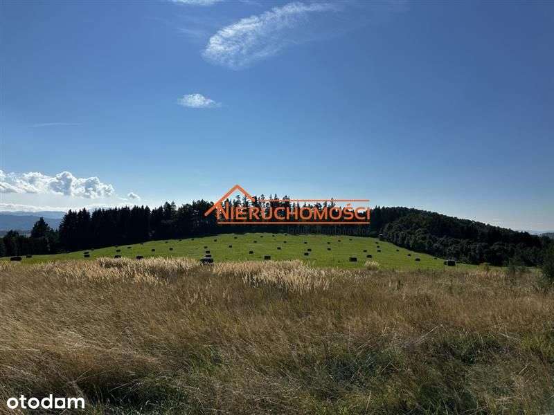 Działki w Rogówku z pięknym widokiem na pasma gór-3