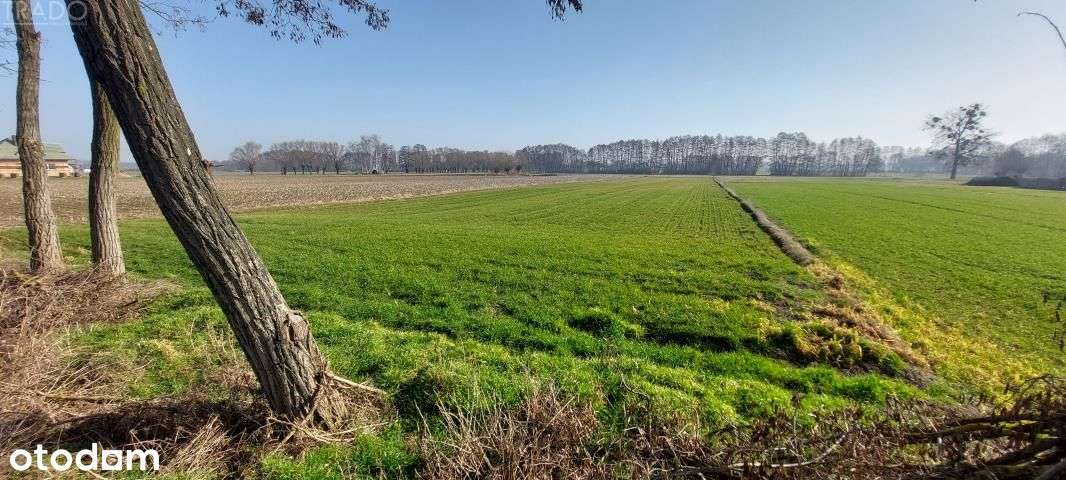 Duża działka Słupca, Marcewek-5