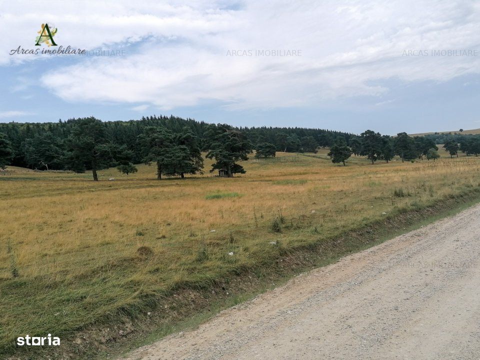 Teren intravilan &icirc;n Valea Mare