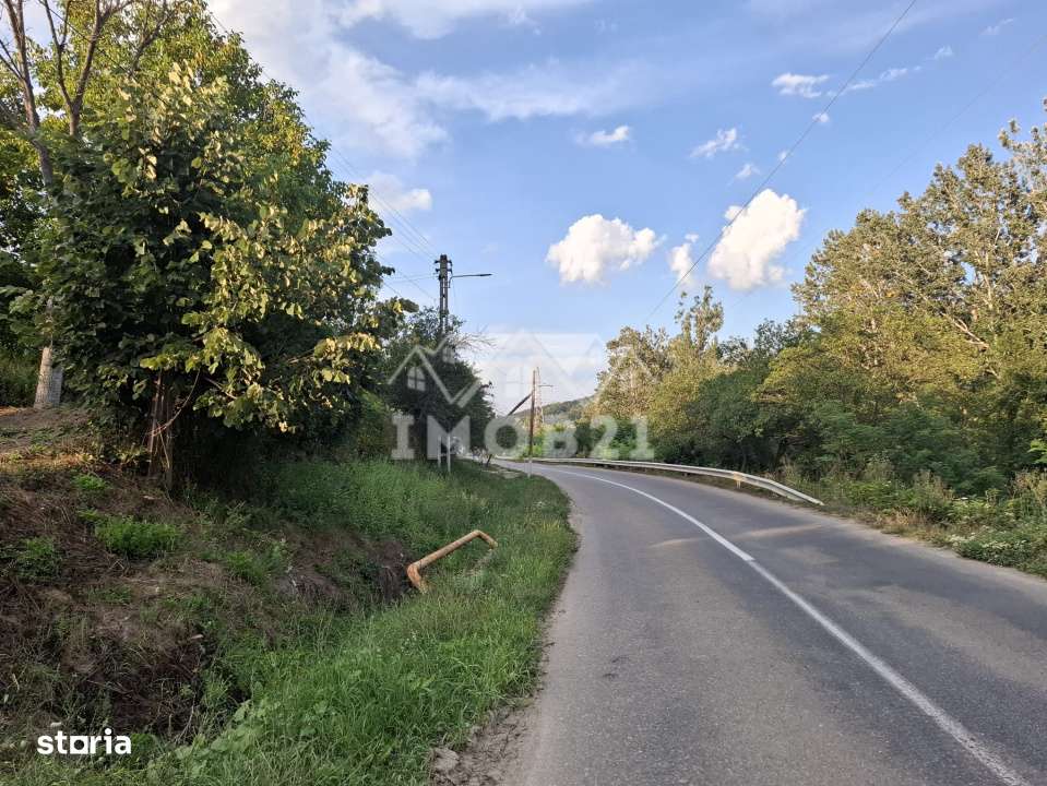 Teren spectaculos cu padure, livada si priveliste panoramica in Soimar-15