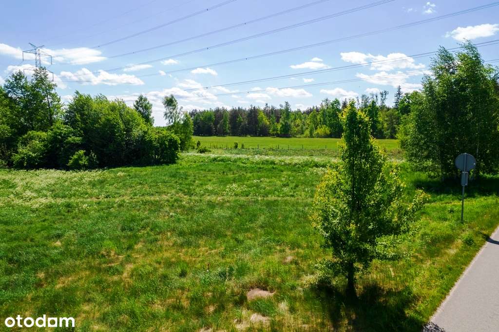 Działki budowlane w otoczeniu lasów i łąk - sielskie klimaty-12