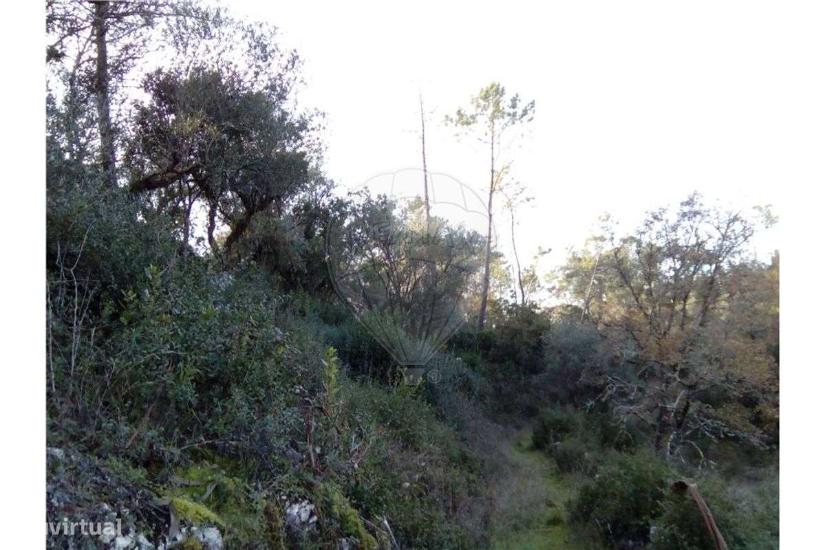 Terreno  para venda - Grande imagem: 2/11