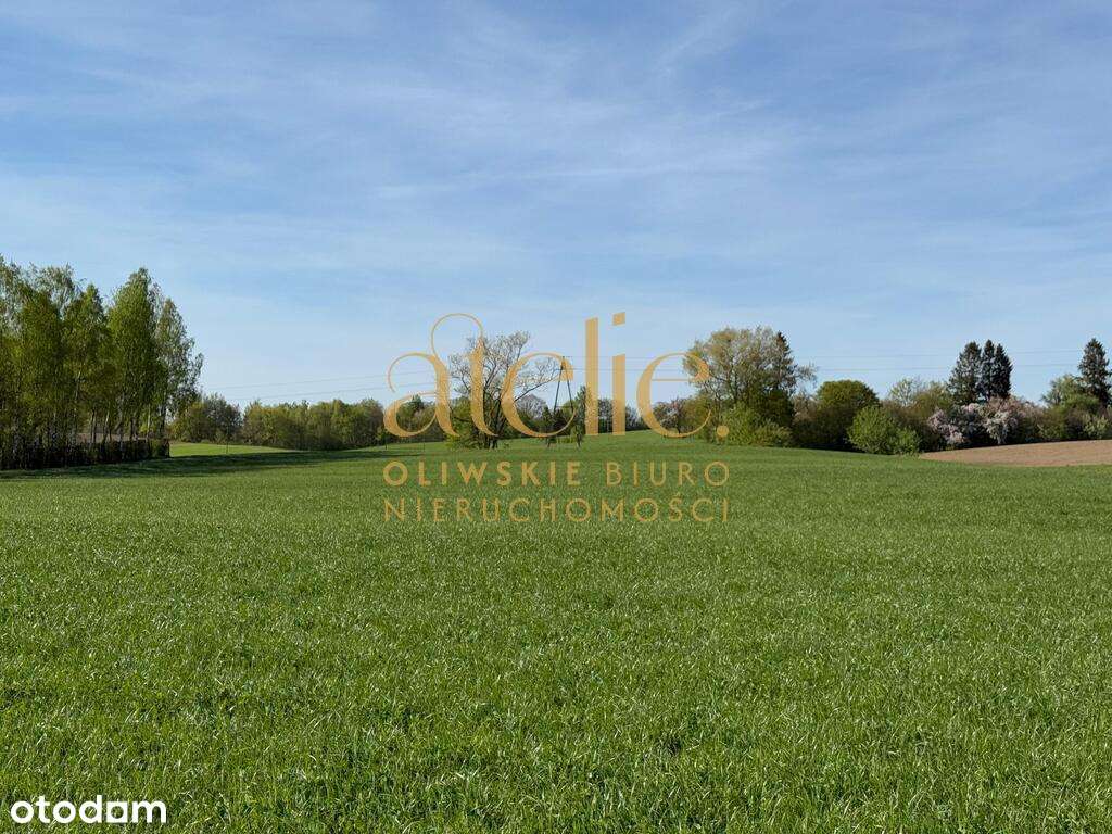 Rębiska/Kielno/Warzno działka z WZ - Pełny obrazek: 3/8