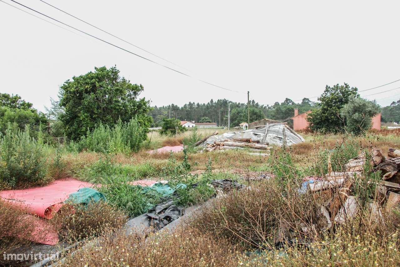 Terreno na Marinha da Guia com Viabilidade de Construção - Grande imagem: 4/18