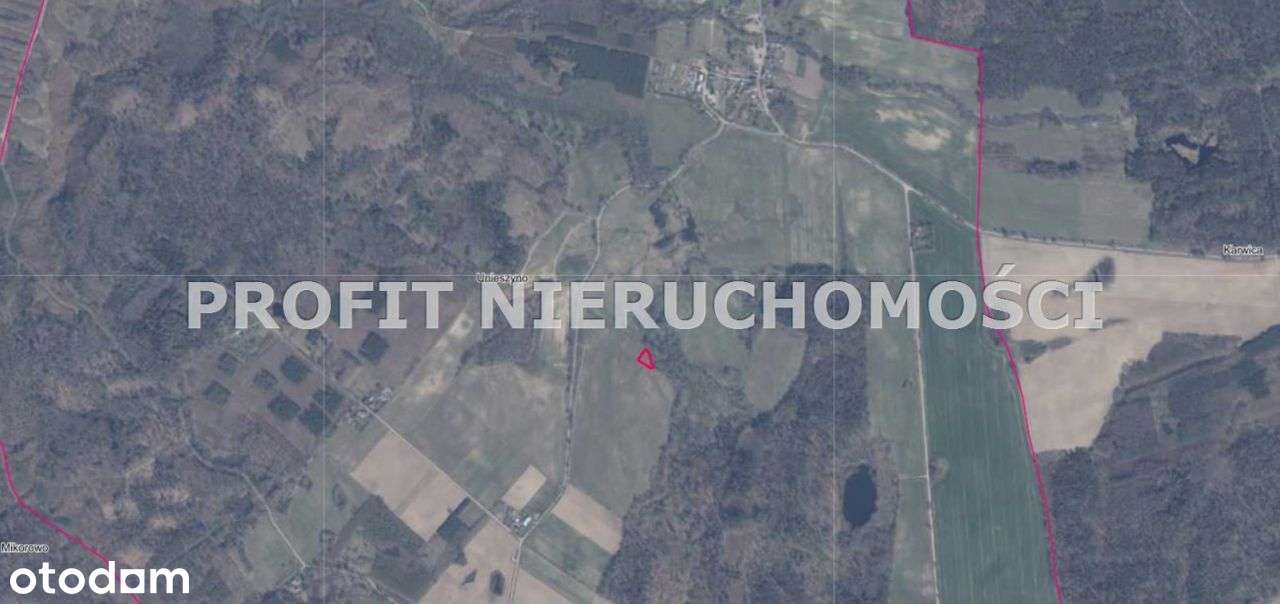 Działka z potencjałem w rozwijającej się okolicy - Pełny obrazek: 4/5