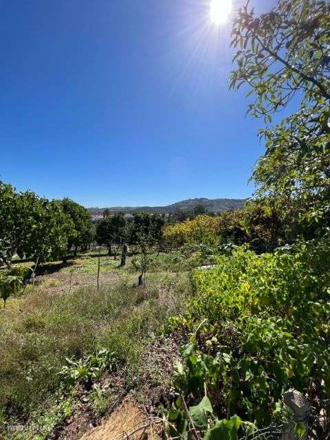 Excelente Moradia c/Piscina, Ringue desportivo, Garagem-55