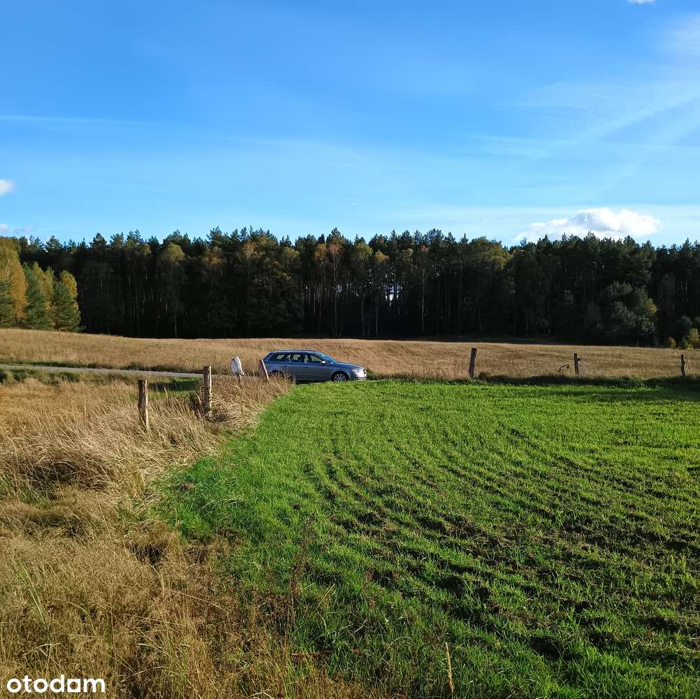 Działka 3000 m² w malowniczej okolicy - Pełny obrazek: 5/19