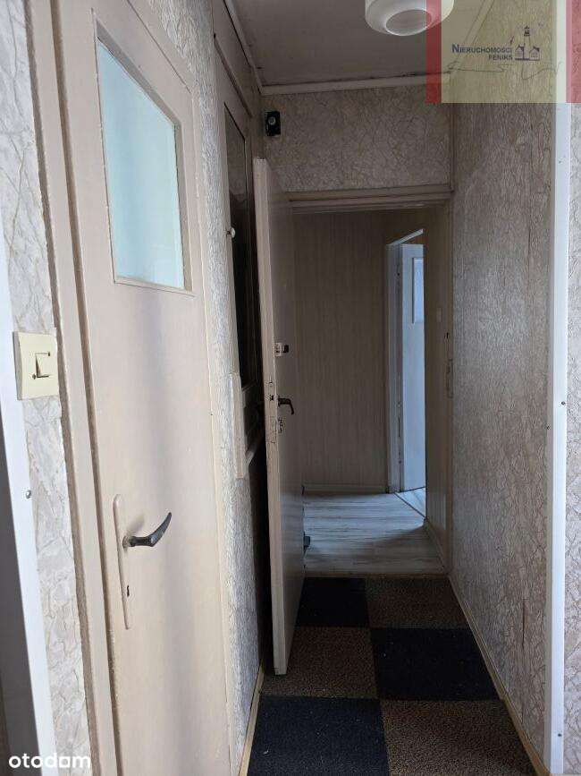 600m od plaży- Jastrzębia Góra (Klonowa) - Pełny obrazek: 5/20