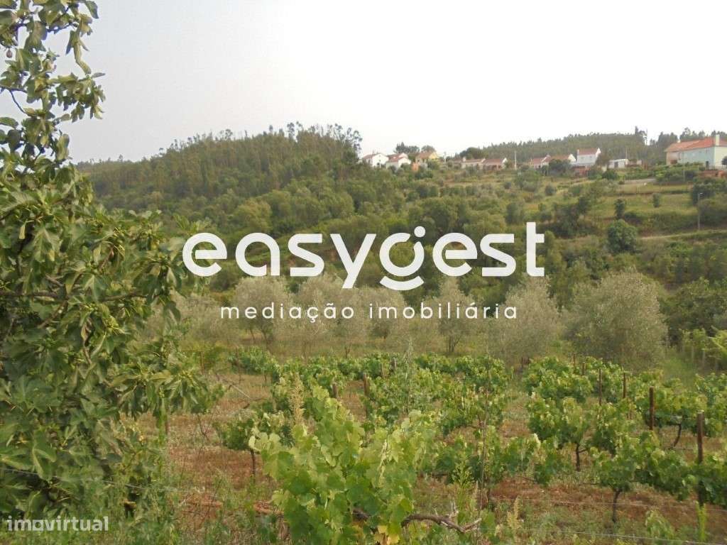 Moradia em ruínas a pouca distância da praia fluvial de Aldeia do Mato - Grande imagem: 5/13