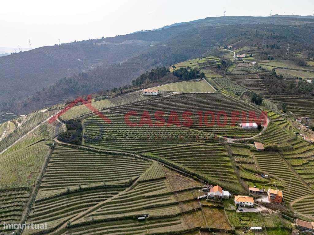 Quinta em Penajóia-25