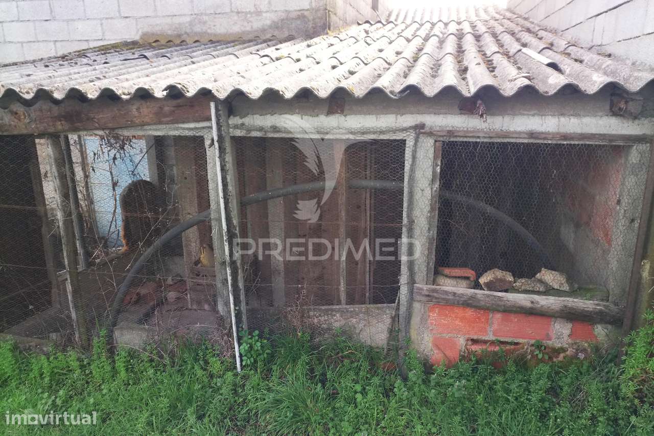 Quinta com Potencial de Construção | +11.000 m² | Alcafache – Moime... - Grande imagem: 4/20