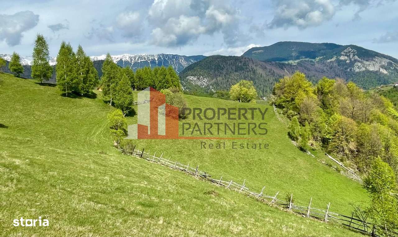 Teren in sat Pestera, comuna Moeciu. - Imagine principală: 3/13