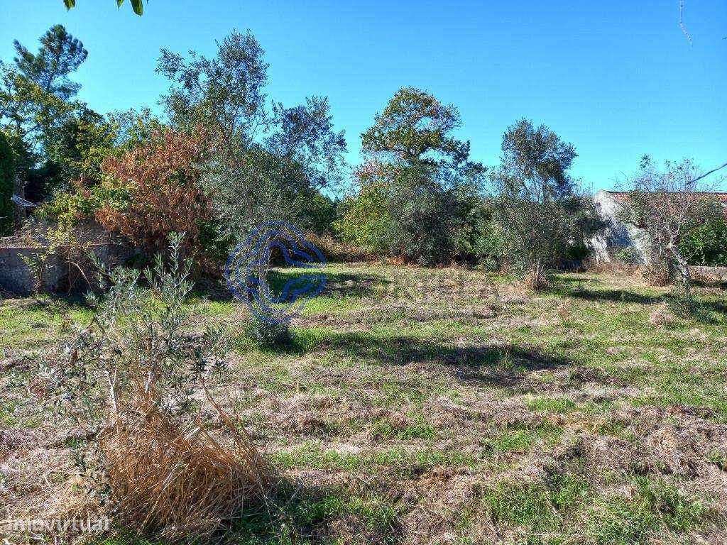 Terreno para construção com 760 m2 a 5 minutos da Aldeia de Dornes no - Grande imagem: 5/19