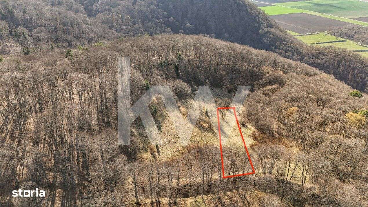 Cel mai mic pret din zona! Teren intravilan in zona Belvedere - Imagine principală: 5/8