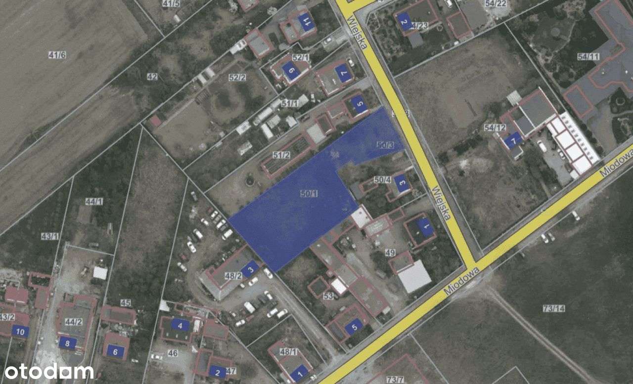 Działka/Plac do Wynajęcia, Dk92 | Przyborki 1750m2 - Pełny obrazek: 5/8