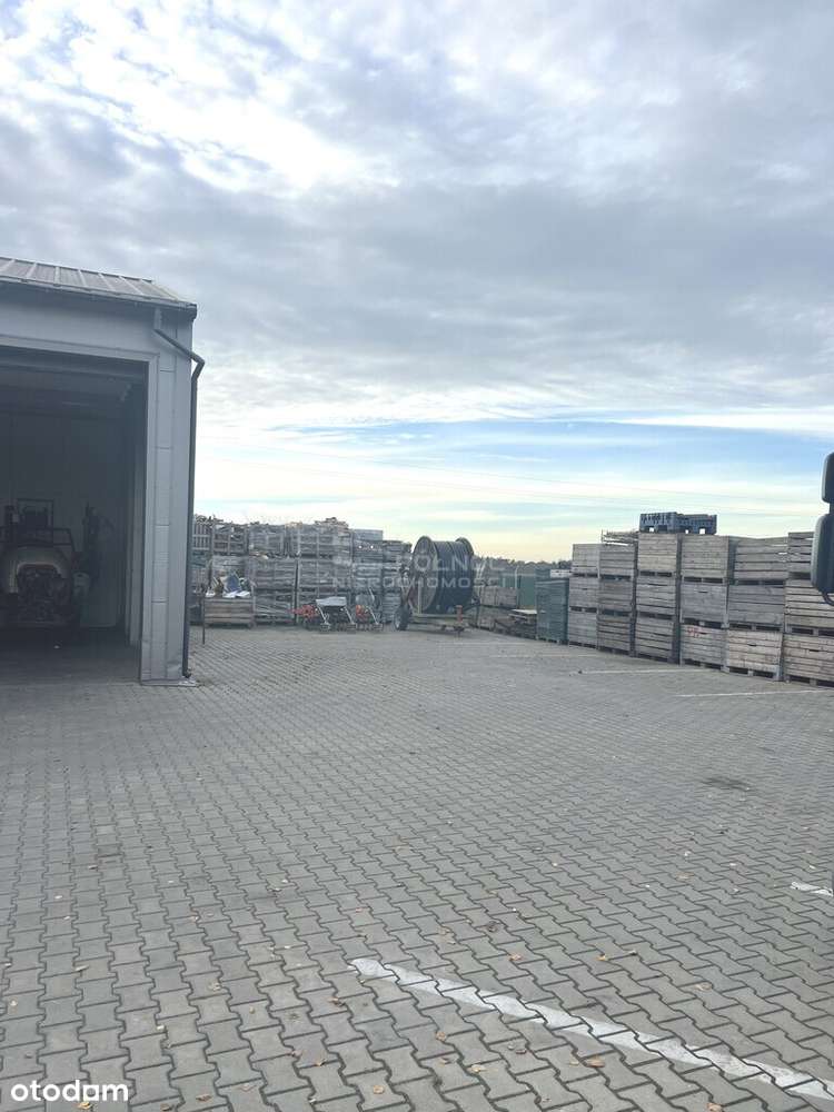 Hala Chłodnia 100m2 Zakroczym-2