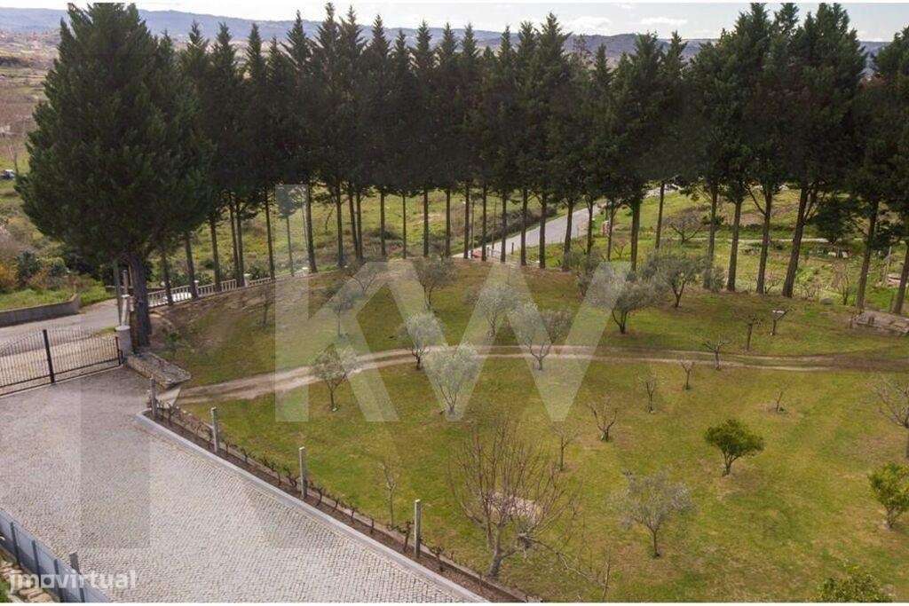 Fantástica Quinta com casa encantadora em Belmonte-10
