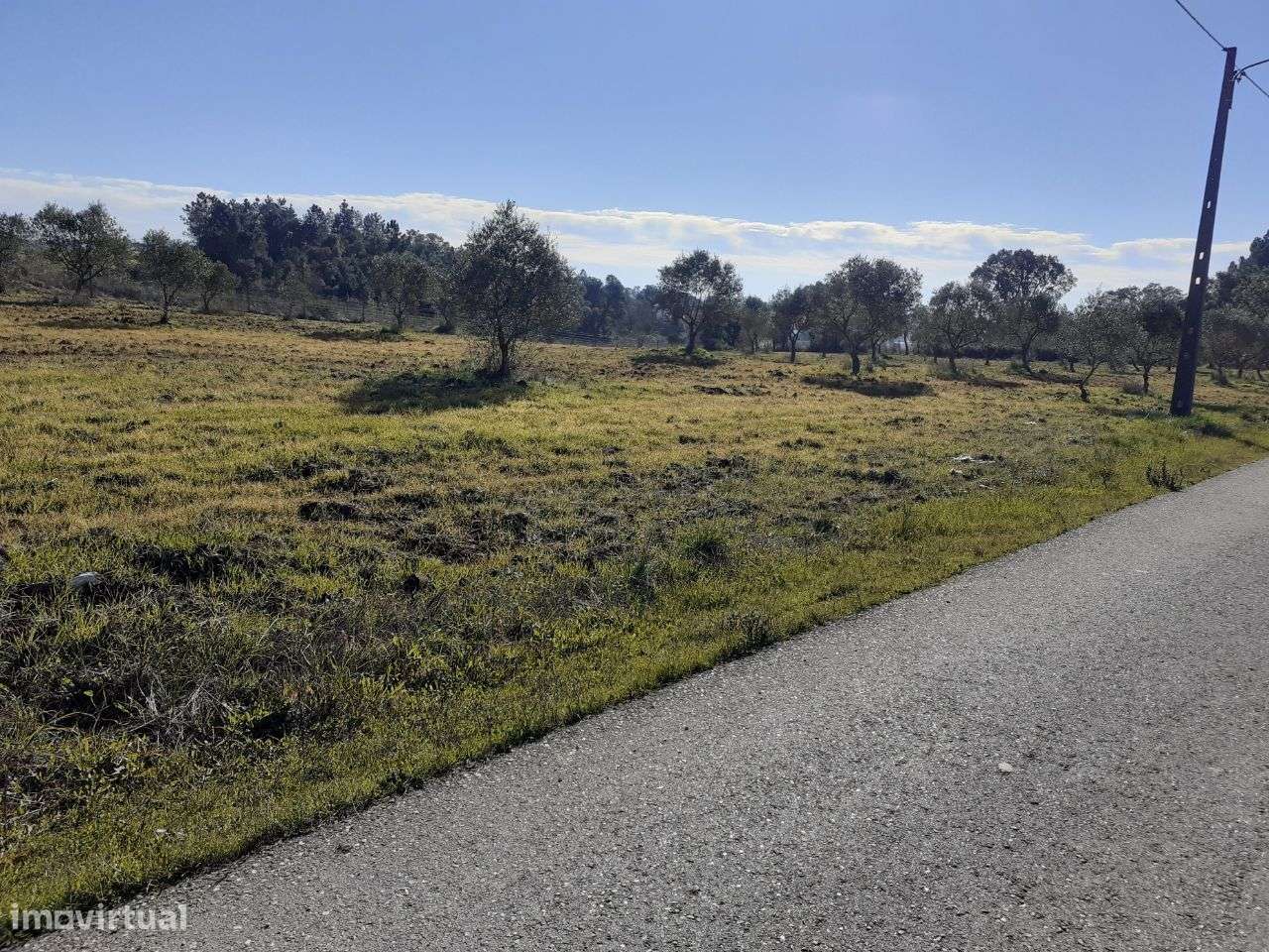 Terreno Rústico em Tomar - Grande imagem: 5/11