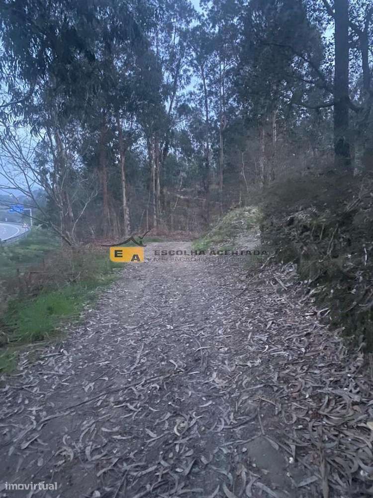 3 Lotes de terreno rústico Ferreirinha - Gondomar - Grande imagem: 2/20