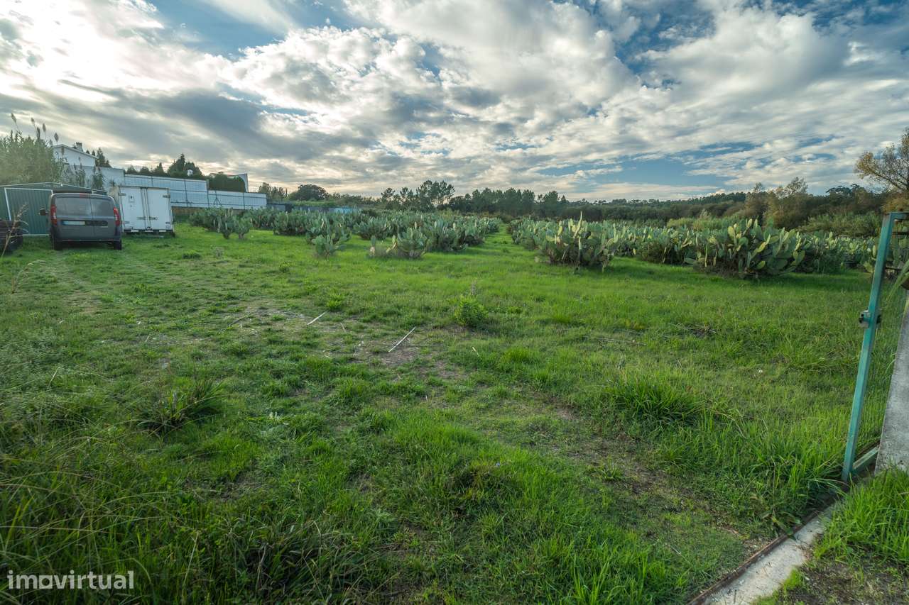 TERRENO– SANGALHOS, ANADIA-1