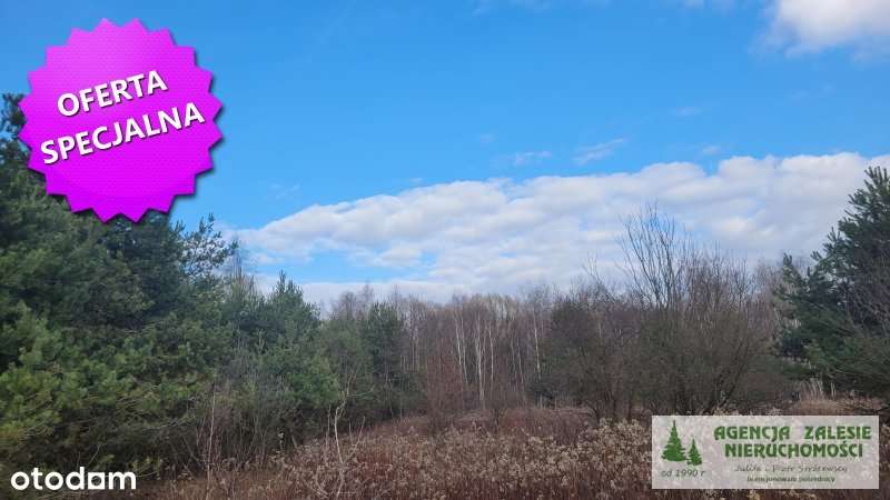 Czarny Las  za Zalesiem Górnym - działka budowlana-0