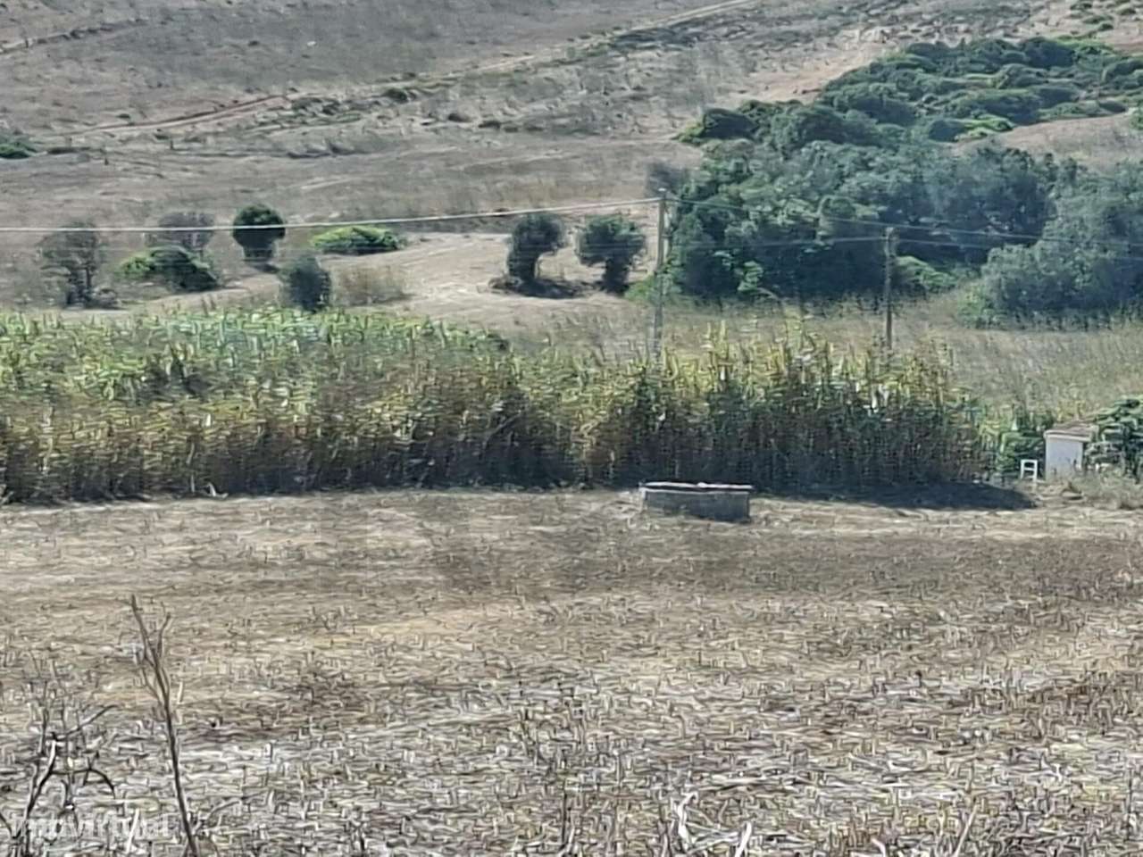 Terrenos Rústicos com 10.760 m2, Raposeira – Vila do Bispo - Grande imagem: 5/30