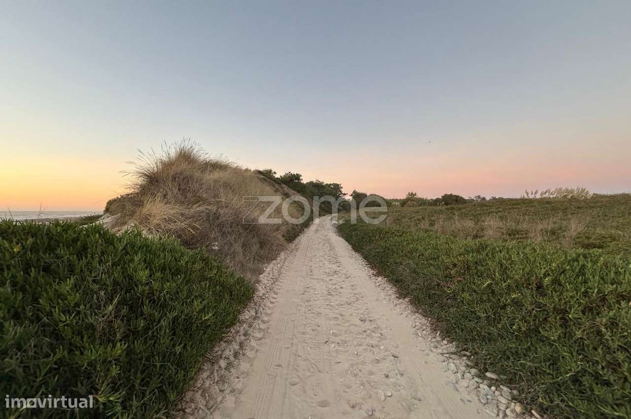 Terreno Agrícola de frente para o Mar - Grande imagem: 3/17