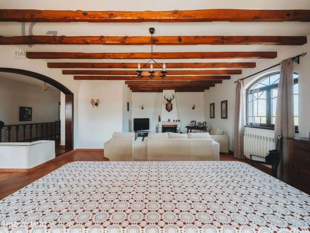 Moradia T3 com Terreno 10.000m² e Vinha em Produção | Arneiro - Tor...-6