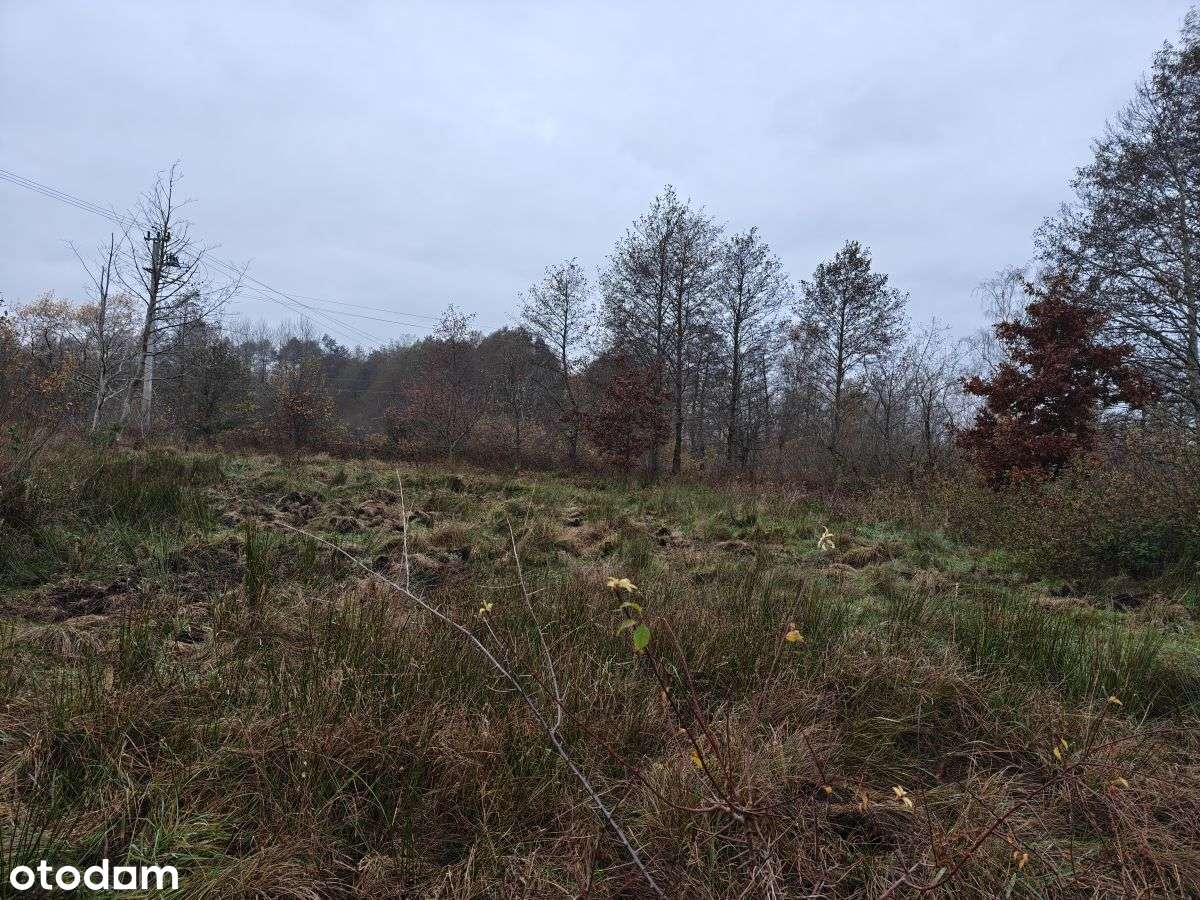 Słoneczna działka budowlana w Sasinie Jarzębinowa-10