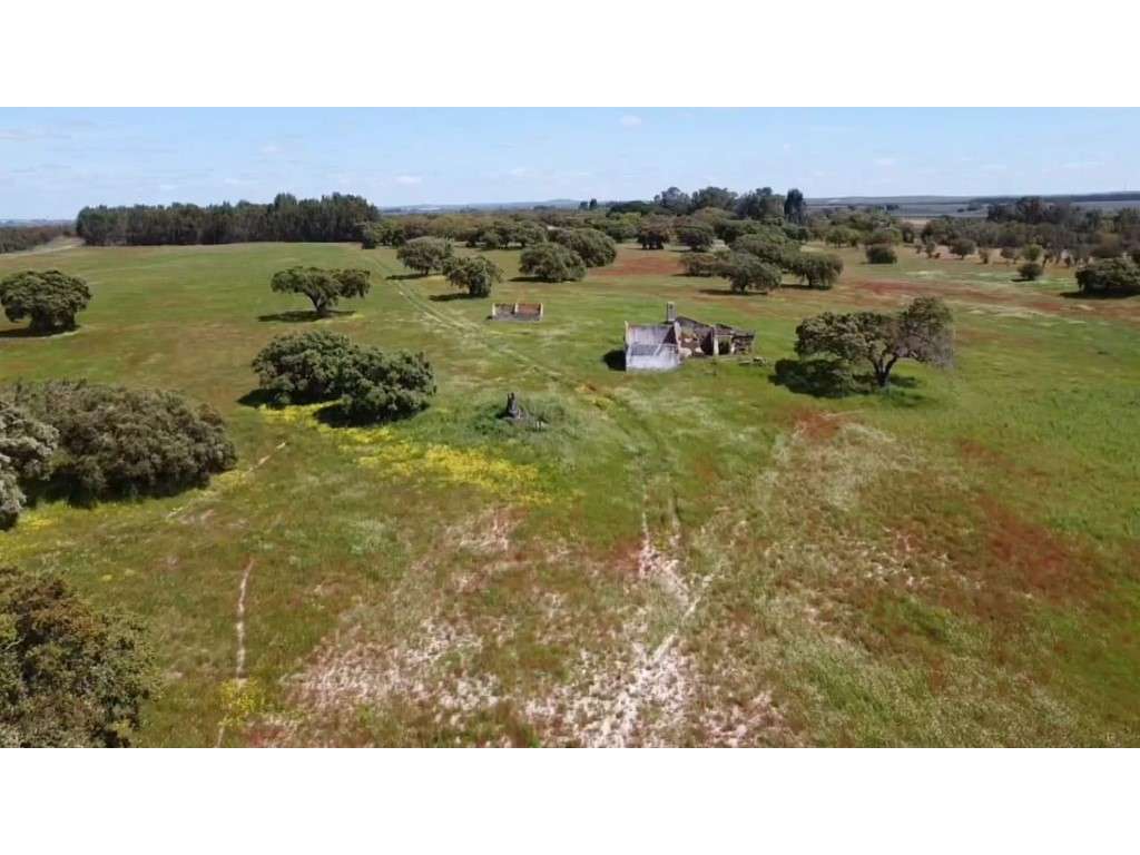 TERRENO DE 22,45 HA COM RUÍNA DE 240 M² PARA RECUPERAÇÃO EM FERREIR...-21