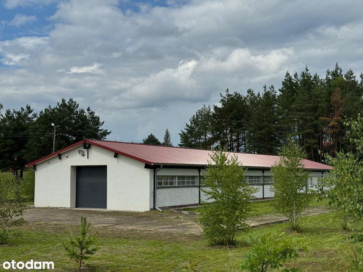 Hala produkcyjno-magazynowa z powierzchnią biurową, obiekt ogrodzony - Pełny obrazek: 4/20