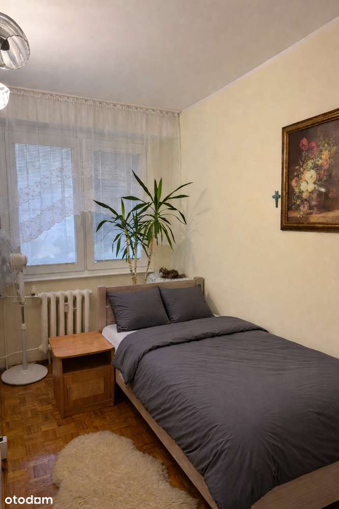 2p-Włocławek Zazamcze - Pełny obrazek: 3/15