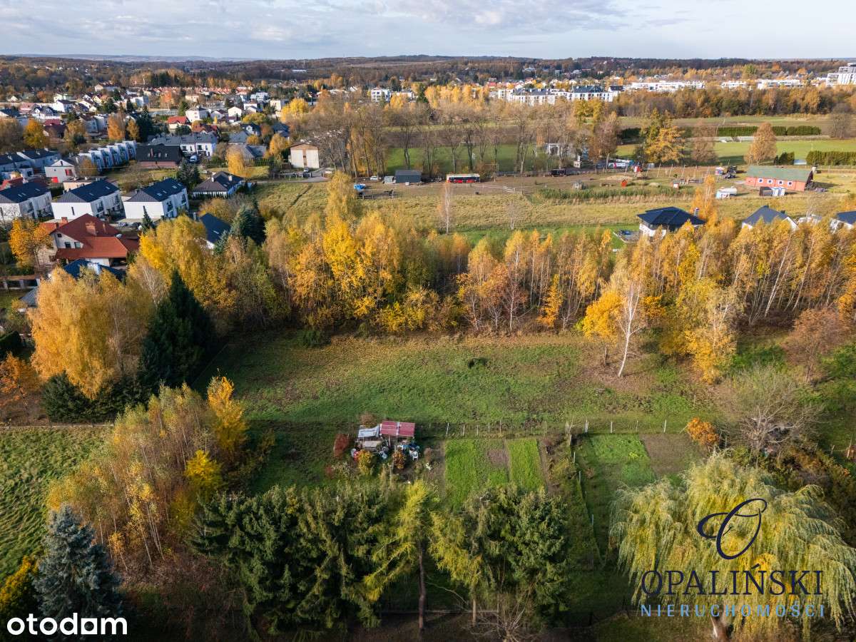 Kameralna okolica | Krakowska | WZ | Zieleń-2