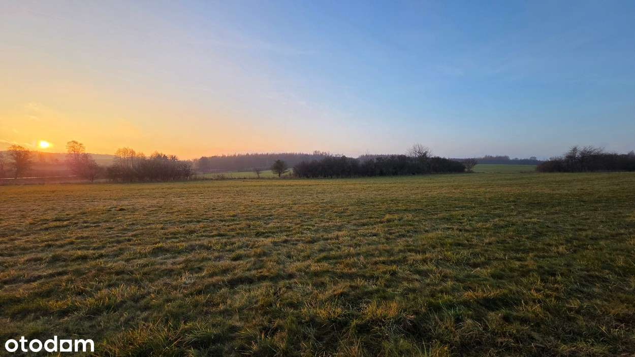 Na sprzedaż działka w miejscowości Młynary-8