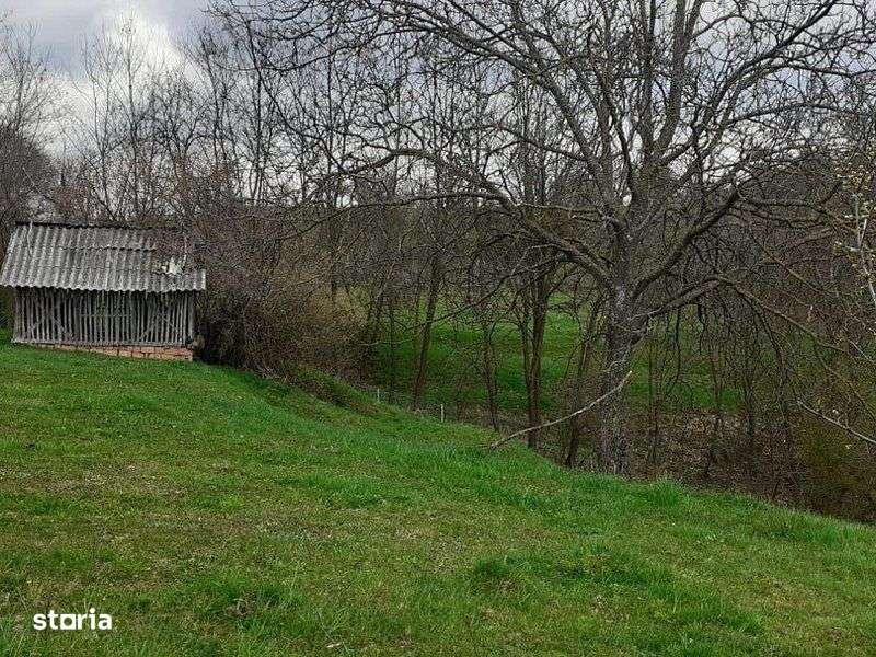 Casa de vanzare Cerbureni Arges-9