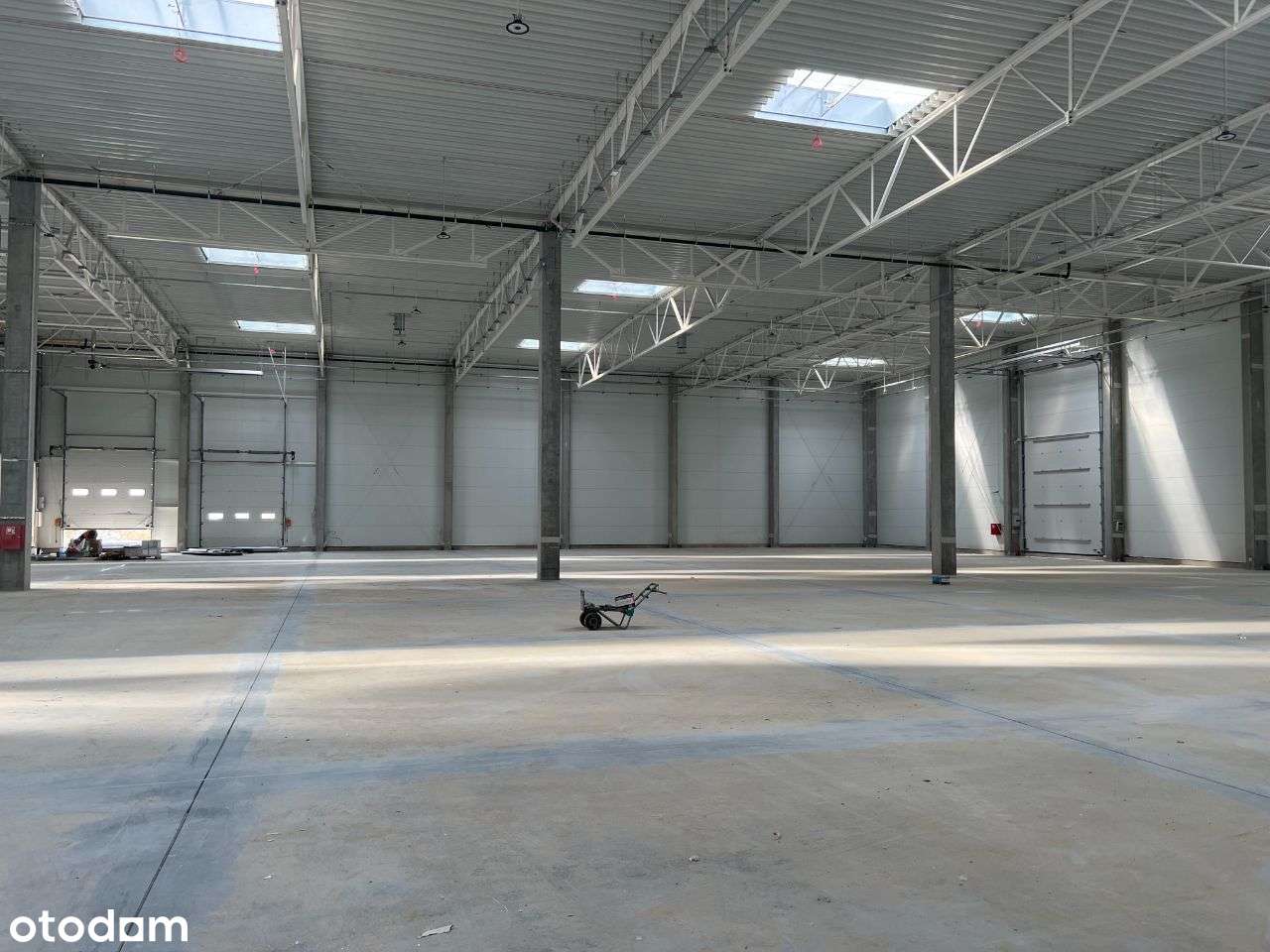 Powierzchnia Magazynowa w Wałbrzychu - Pełny obrazek: 4/5
