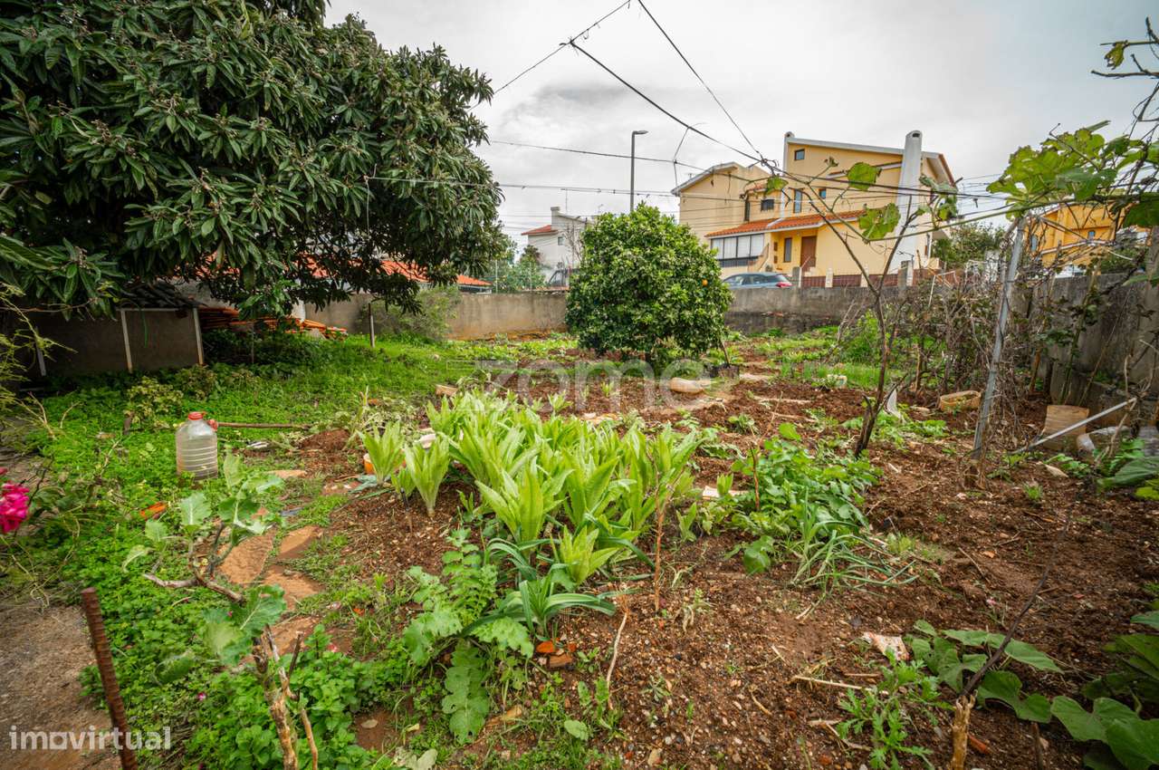 Terreno Alvide - Grande imagem: 2/3