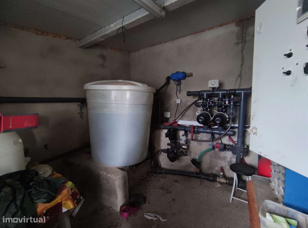 Quinta  Venda em Vela,Guarda - Grande imagem: 4/24