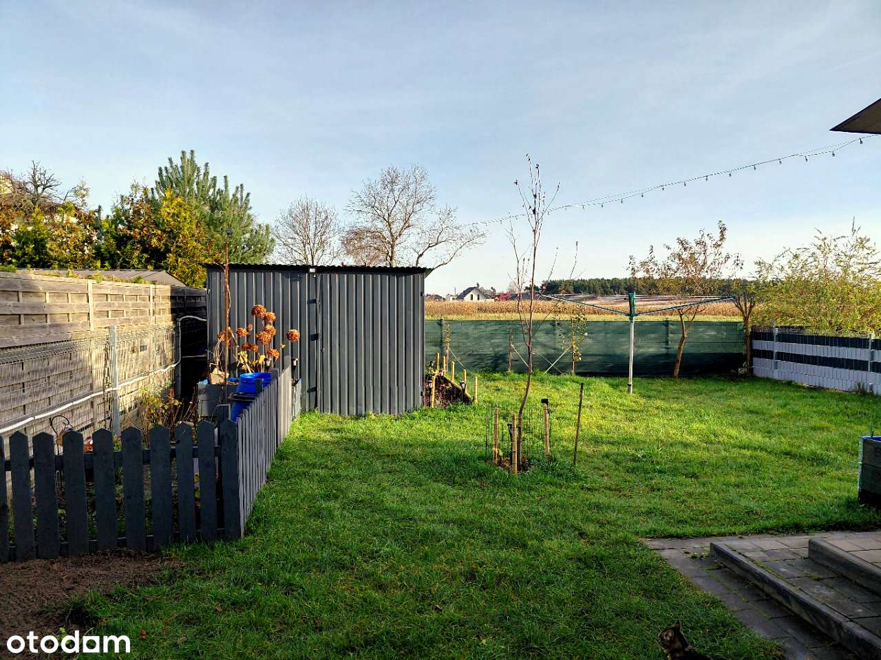 Bliźniak - Siekierki Wielkie, gm. Kostrzyn/ bisko P-ń-18