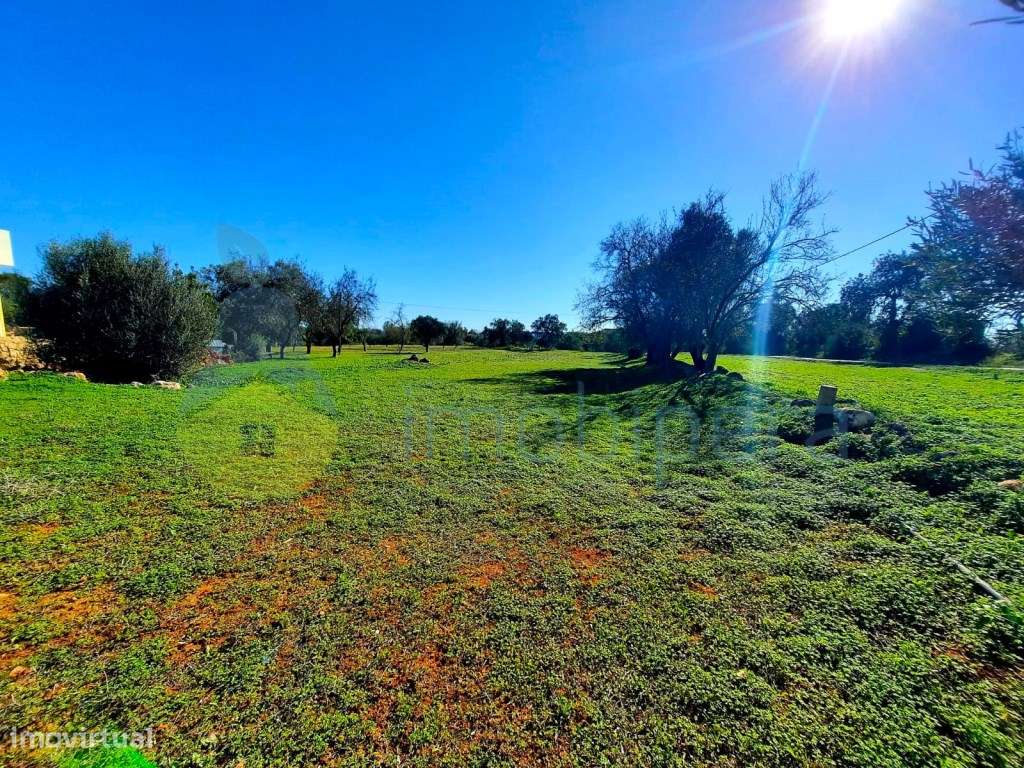 Terreno urbano em Messines de Baixo, com 2480m2 com projeto aprovad... - Grande imagem: 5/12