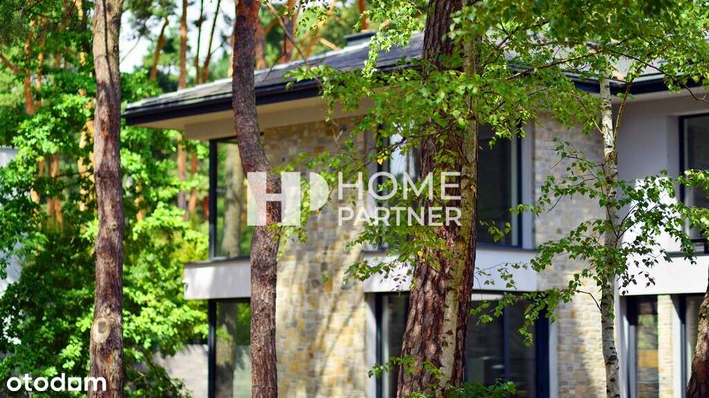 Przepiękna działka z sosnami MPZP, możliwy podział-11