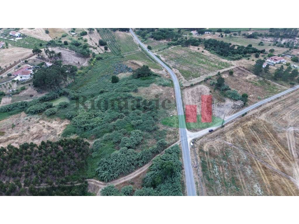 Terreno Rústico Alcoentre***RIOMAGIC*** - Grande imagem: 2/24