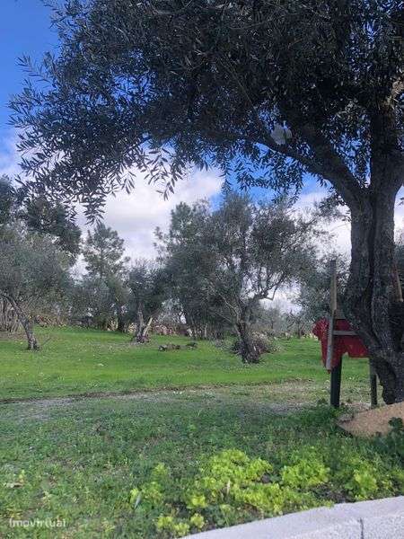 Quinta em Povoa Rio de Moinhos - Grande imagem: 5/8