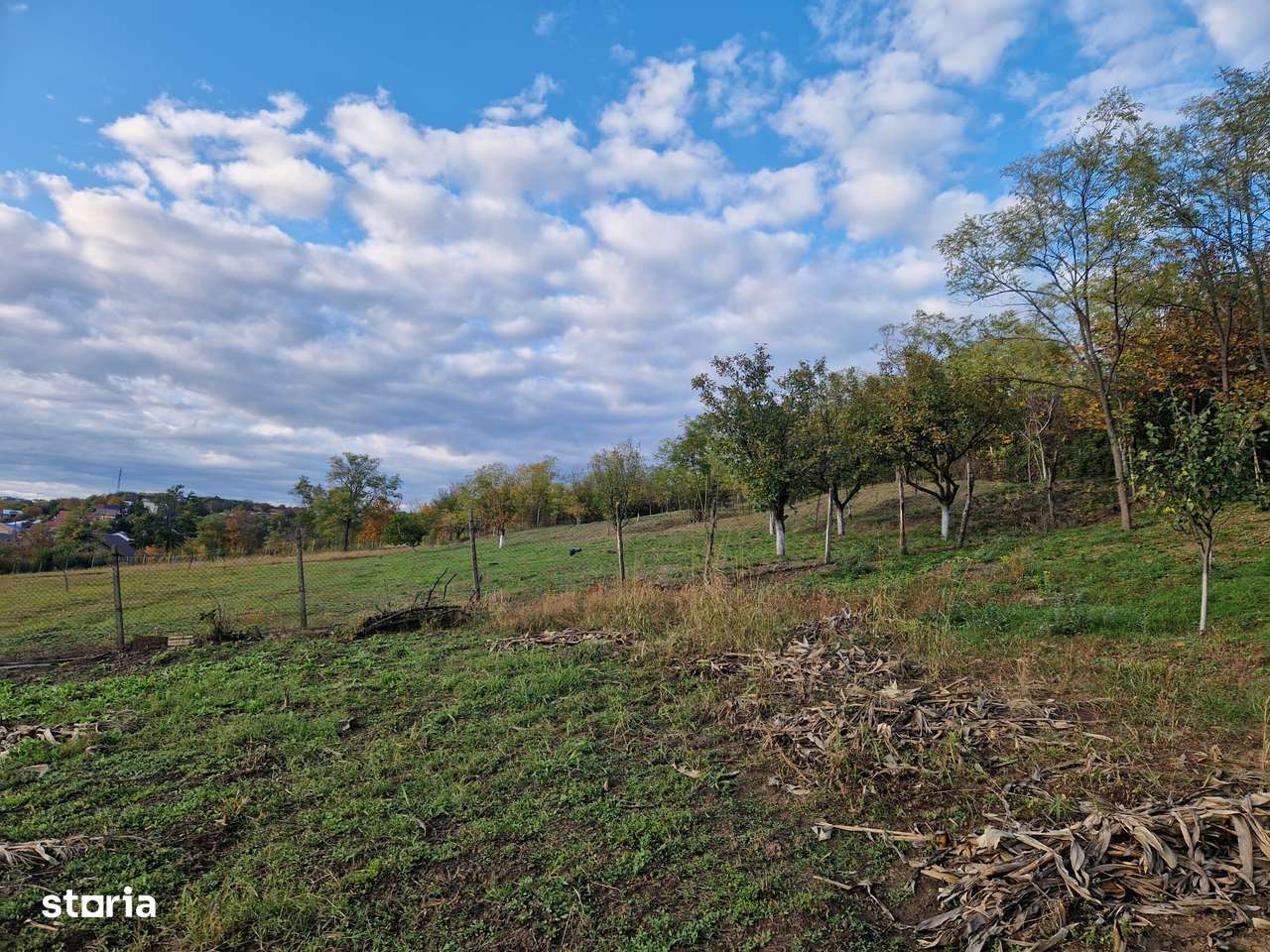 Teren in suprafata de 1308 mp in com. Rediu - Imagine principală: 2/7