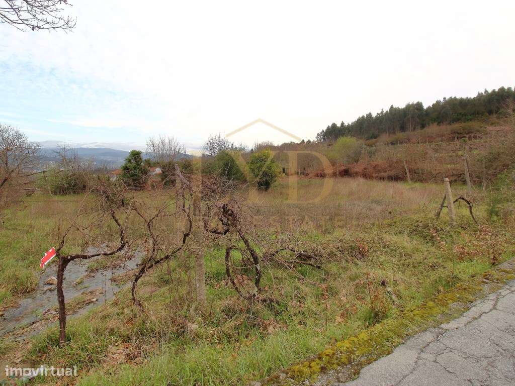 Quintinha para recuperar em Luzim Penafiel-13