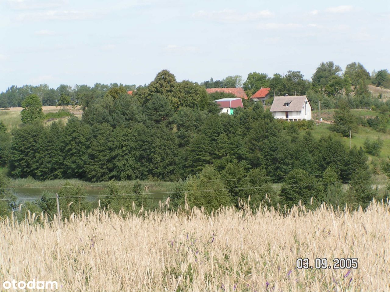 Mokiny działka nad jeziorem