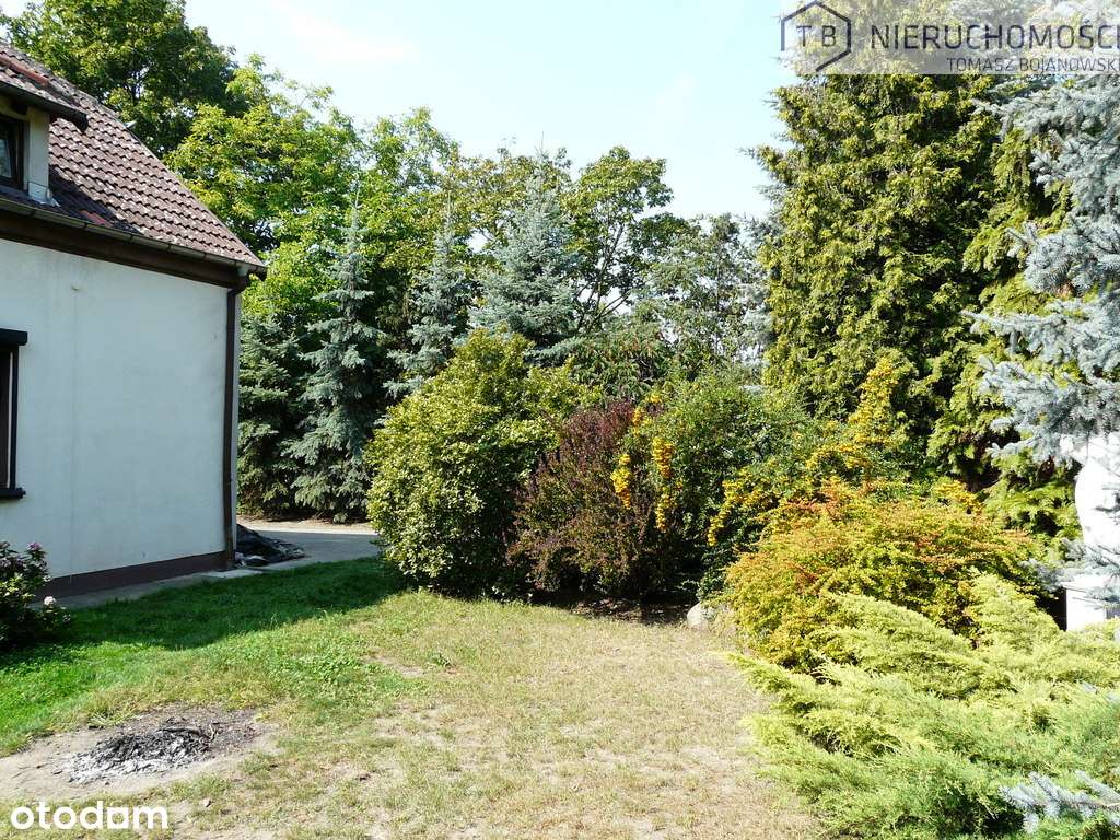 SPRZEDAM WILLĘ W SZAMOTUŁACH-CENTRUM-6