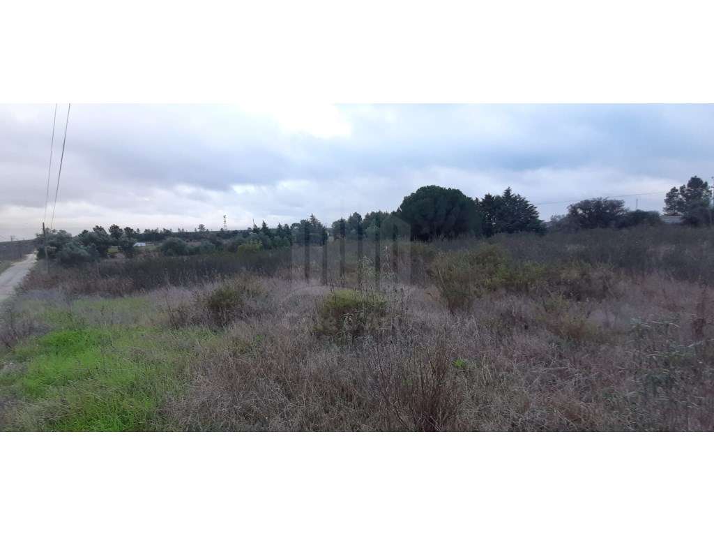 Terreno com 15.000 m² em Plena Natureza na Região de Palmela-14