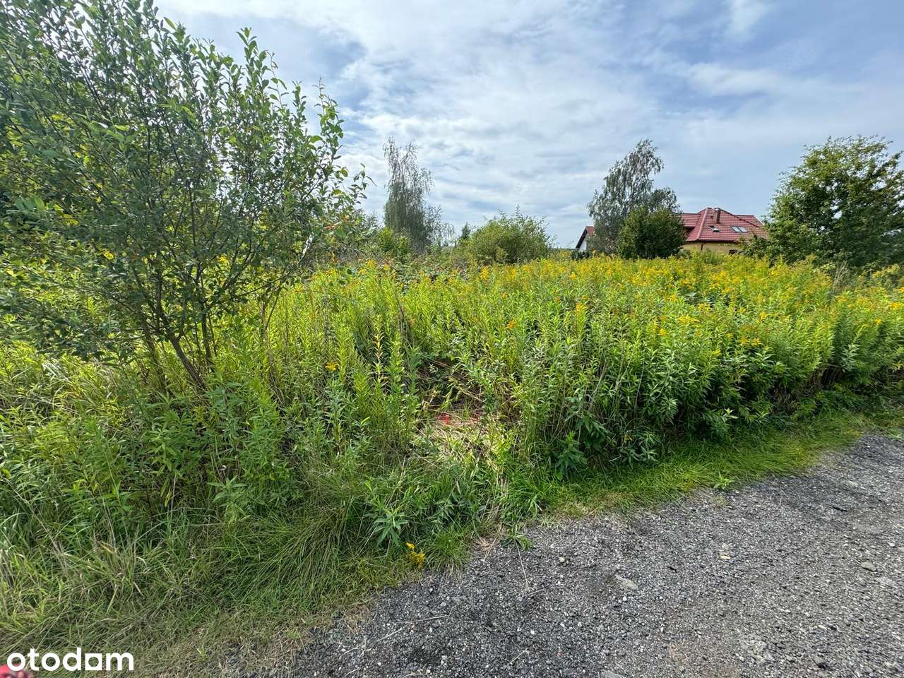 Działka budowlana - ul. Chodkiewicza - Wrocław - Jerzmanowo - Pełny obrazek: 5/8